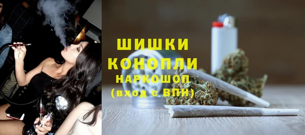 spice Медногорск
