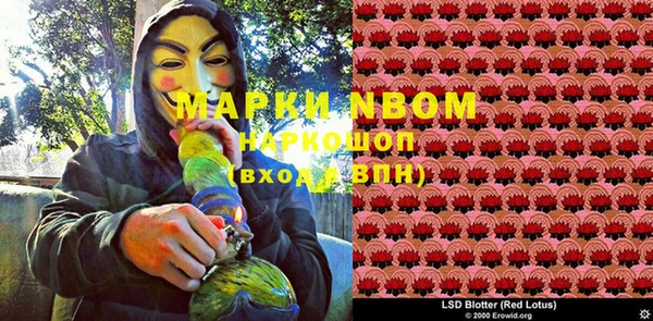 spice Медногорск