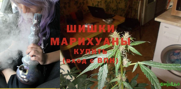 spice Медногорск