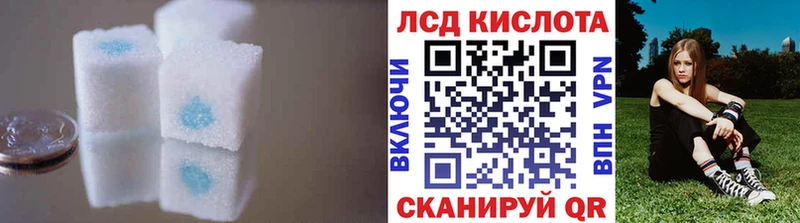 купить   Новотитаровская  Лсд 25 экстази кислота 